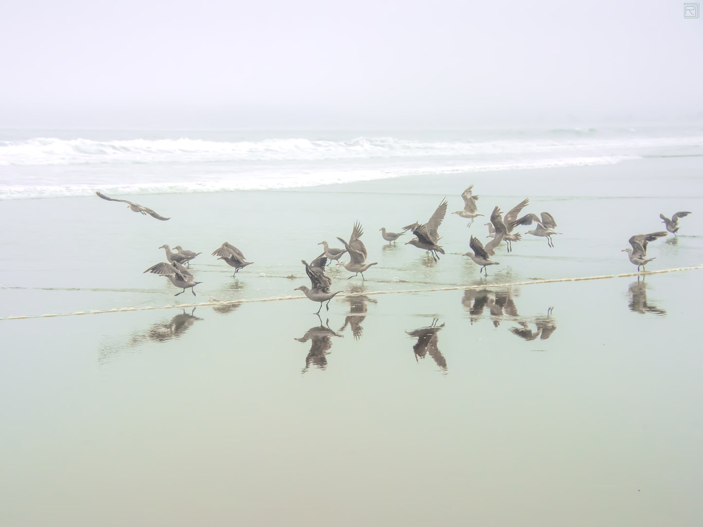 Feathers and Foam
