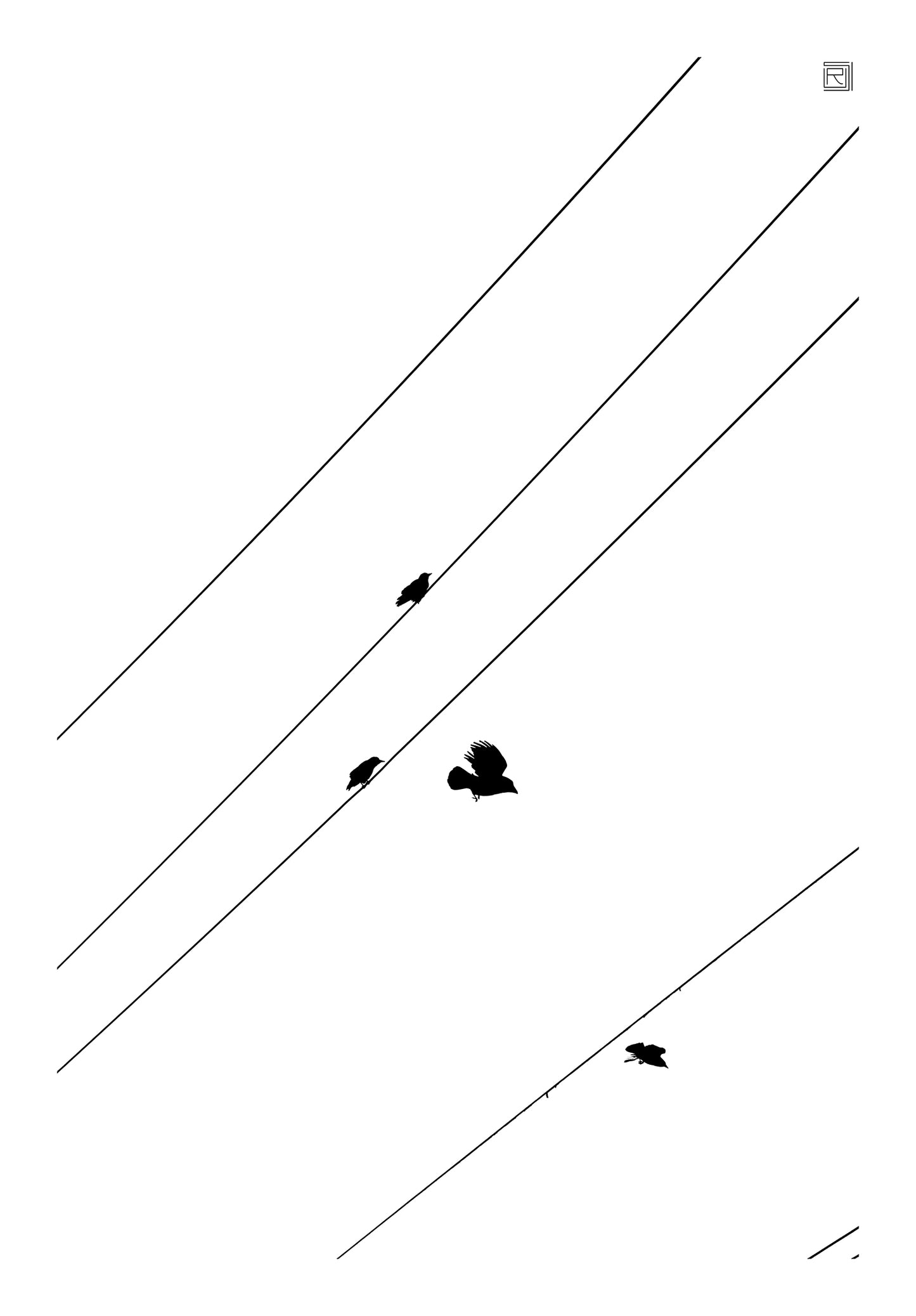 Silent Flight