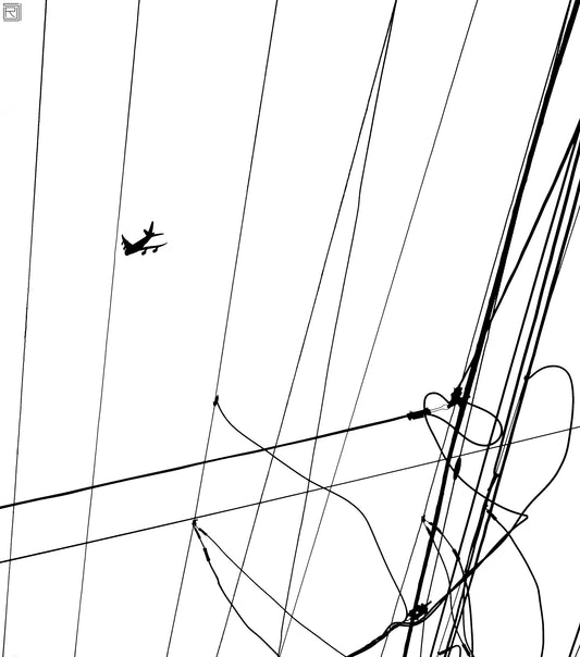 Flight and Lines