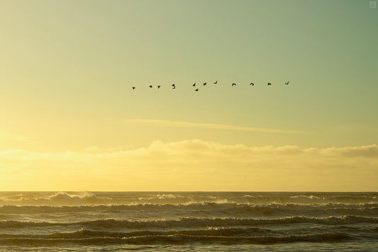 Sundown Over the Pacific Ocean