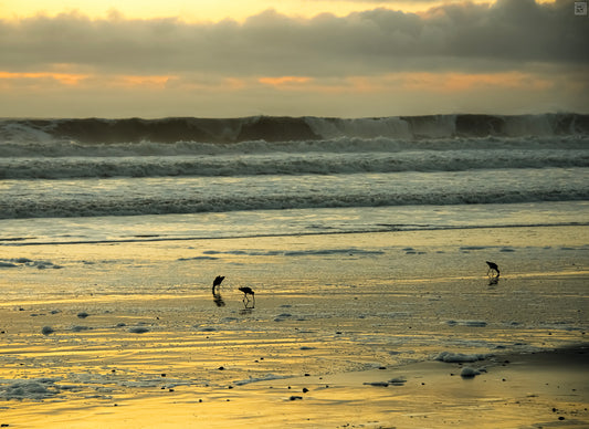 The Pacific Ocean after Sundown