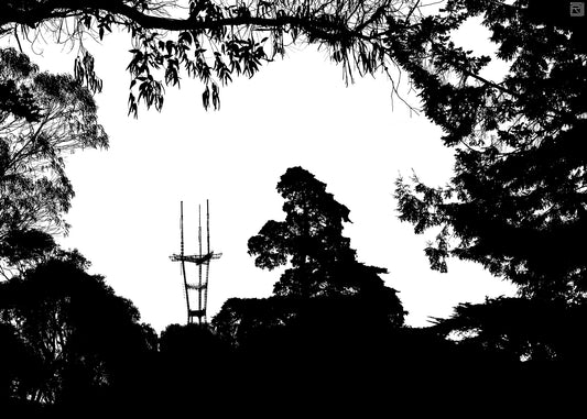 Sutro Tower and California Flora